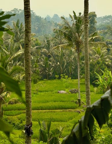 Corazon, in Sidemen, overlooks the Balinese jungle from the heights of a breathtaking hilltop