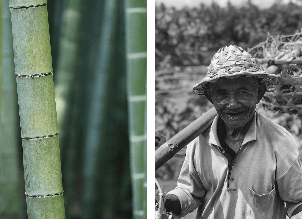 Bamboo & local man in Sidemen, Corazon Bali